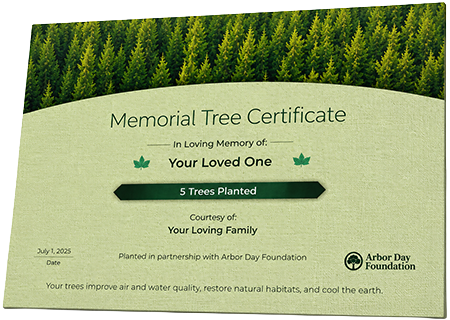 Plant Trees in Memory of Cedrick Moore